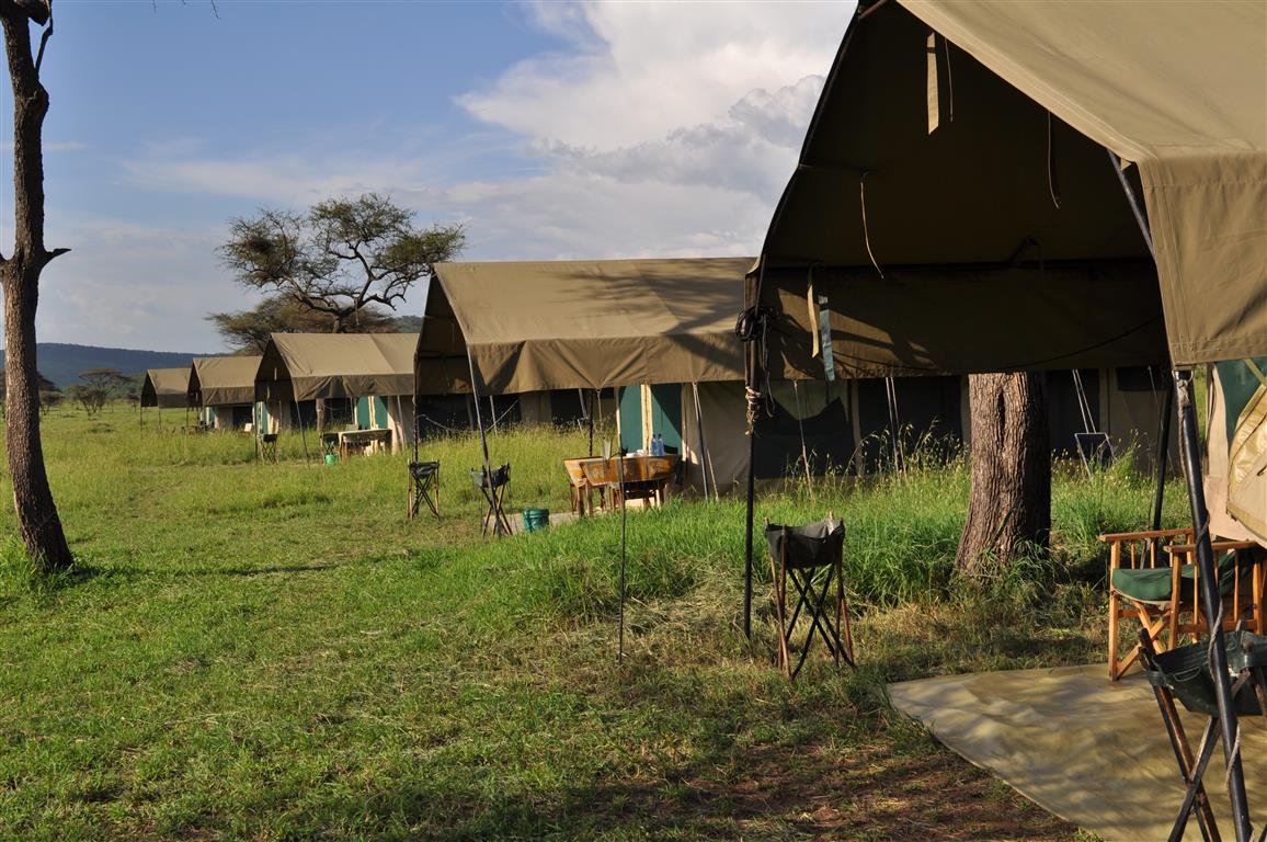 Crayfish camp